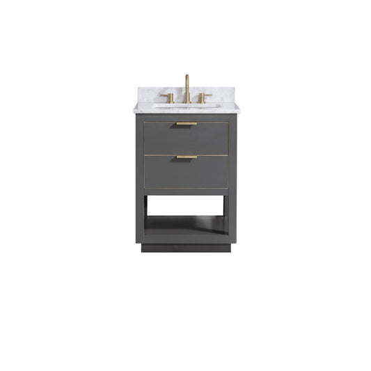 Allie 24 in. Single Sink Bathroom Vanity