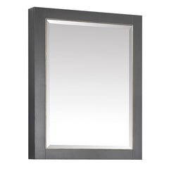 Allie Collections Mirror Cabinet