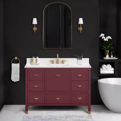 Alana 48 in. Single Sink Bathroom Vanity