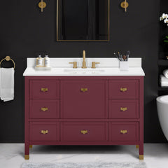 Alana 48 in. Single Sink Bathroom Vanity