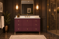 Alana 48 in. Single Sink Bathroom Vanity