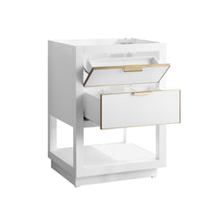 Allie 24 in. Single Sink Bathroom Vanity
