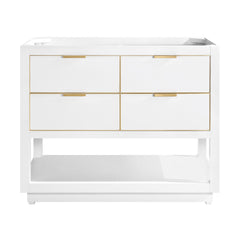 Allie 42 in. Single Sink Bathroom Vanity
