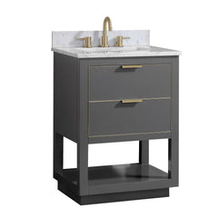 Allie 24 in. Single Sink Bathroom Vanity