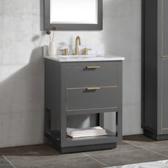 Allie 24 in. Single Sink Bathroom Vanity