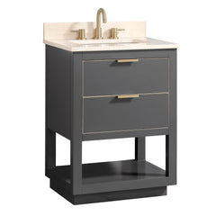 Allie 24 in. Single Sink Bathroom Vanity