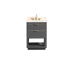 Allie 24 in. Single Sink Bathroom Vanity