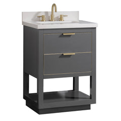 Allie 24 in. Single Sink Bathroom Vanity