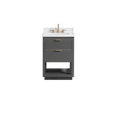 Allie 24 in. Single Sink Bathroom Vanity