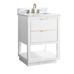 Allie 24 in. Single Sink Bathroom Vanity
