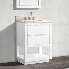 Allie 24 in. Single Sink Bathroom Vanity
