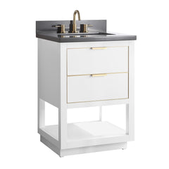 Allie 24 in. Single Sink Bathroom Vanity