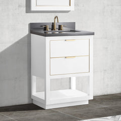 Allie 24 in. Single Sink Bathroom Vanity