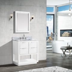 Allie 30 in. Single Sink Bathroom Vanity
