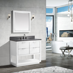 Allie 36 in. Single Sink Bathroom Vanity