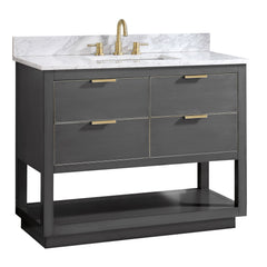 Allie 42 in. Single Sink Bathroom Vanity