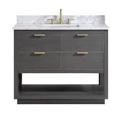 Allie 42 in. Single Sink Bathroom Vanity