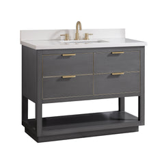 Allie 42 in. Single Sink Bathroom Vanity