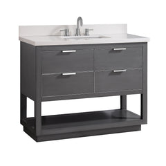 Allie 42 in. Single Sink Bathroom Vanity