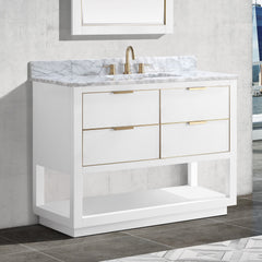 Allie 42 in. Single Sink Bathroom Vanity