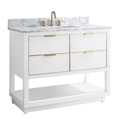 Allie 42 in. Single Sink Bathroom Vanity