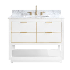 Allie 42 in. Single Sink Bathroom Vanity