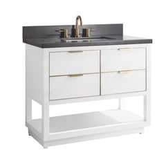 Allie 42 in. Single Sink Bathroom Vanity