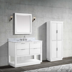 Allie 42 in. Single Sink Bathroom Vanity