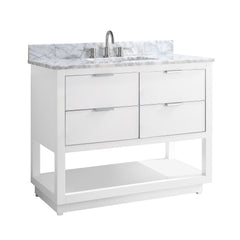 Allie 42 in. Single Sink Bathroom Vanity