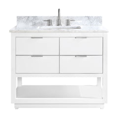 Allie 42 in. Single Sink Bathroom Vanity