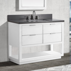 Allie 42 in. Single Sink Bathroom Vanity