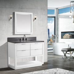 Allie 42 in. Single Sink Bathroom Vanity
