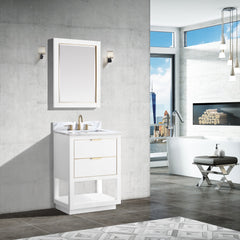 Allie 24 in. Single Sink Bathroom Vanity
