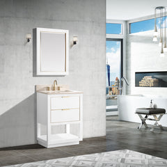 Allie 24 in. Single Sink Bathroom Vanity