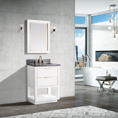 Allie 24 in. Single Sink Bathroom Vanity