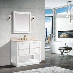 Allie 36 in. Single Sink Bathroom Vanity