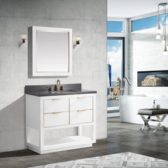 Allie 36 in. Single Sink Bathroom Vanity