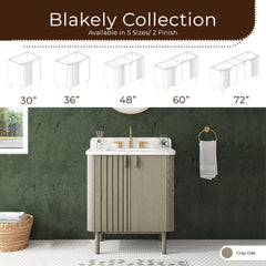 Blakely 30 in. Single Sink Bathroom Vanity