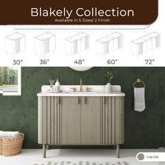 Blakely 48 in. Single Sink Bathroom Vanity