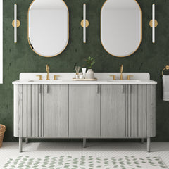 Blakely 72 in. Double Sink Bathroom Vanity