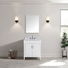 Bristol 30 in. Single Sink Bathroom Vanity