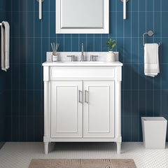 Bristol 30 in. Single Sink Bathroom Vanity