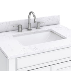 Bristol 30 in. Single Sink Bathroom Vanity