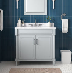 Bristol 36 in. Single Sink Bathroom Vanity
