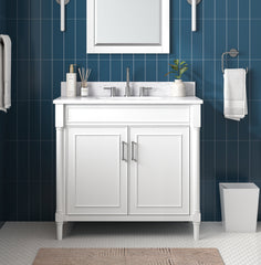 Bristol 36 in. Single Sink Bathroom Vanity