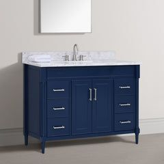 Bristol 48 in. Single Sink Bathroom Vanity