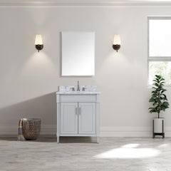 Bristol 30 in. Single Sink Bathroom Vanity