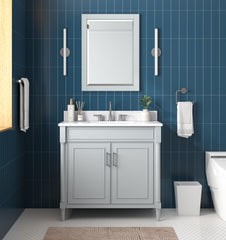 Bristol 36 in. Single Sink Bathroom Vanity