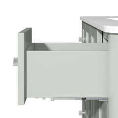 Briza 48 in. Single Sink Bathroom Vanity