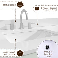 Briza 48 in. Single Sink Bathroom Vanity